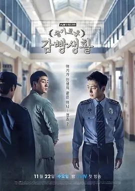 雾港谜航高清电视剧全集在线观看